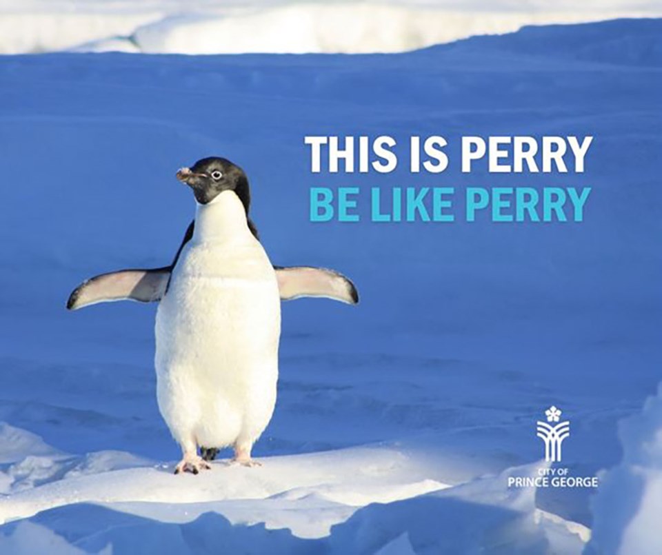 walk-like-a-penquin-in-slippery-conditions