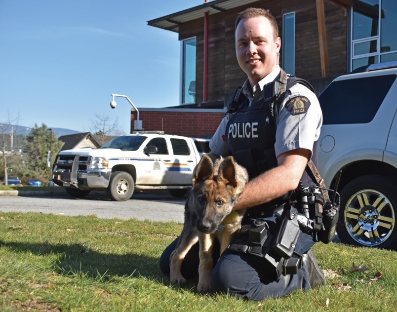 rcmp-dog-handler