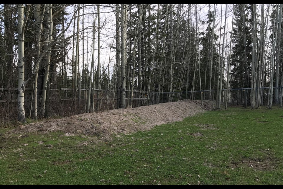 One end of a 900-foot-long dike Maria James built to protect her property from flooding is seen in an undated handout photo.