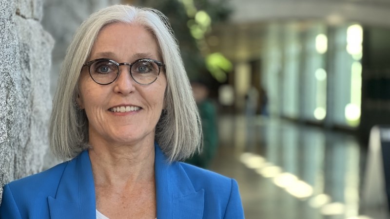 vice-president-academic-dr-wendy-rodgers