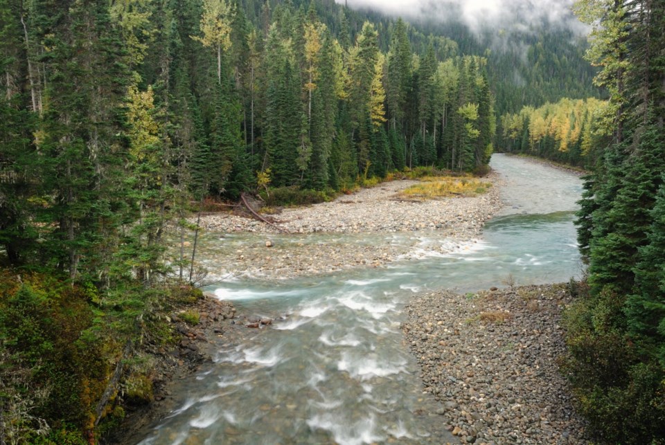 Goat River in the inland rainforest_Paul Morgan