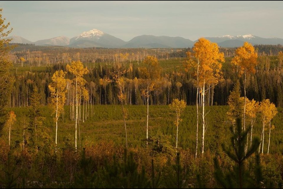 This is the 90-acre property south east of Prince George that Asta and Lenard Sanders would like to share with like-minded people.