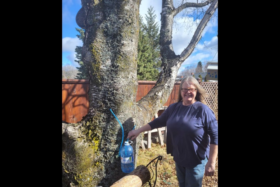 Charlene Clark is looking to nature to optimize her health and has recently discovered birch tree tapping. 