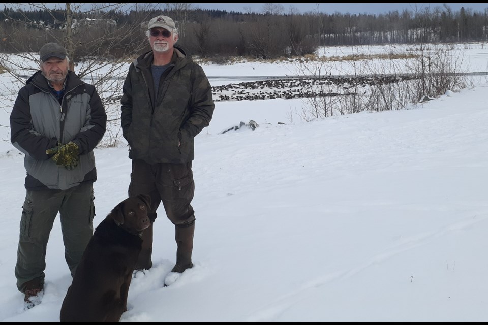 Paul Cailleaux and Brock Bailey, dedicated volunteers with Ducks Unlimited Canada, keep the ducks alive at Cottonwood Island Park during the winter.