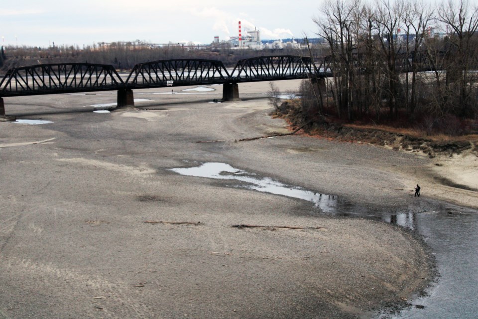 Lack of rain this year and near-record low river levels have exposed a vast area at the confluence of the Nechako and Fraser rivers near downtown Prince George. This photo taken from the Yellowhead Bridge, shows people walking in areas that typically are under water.