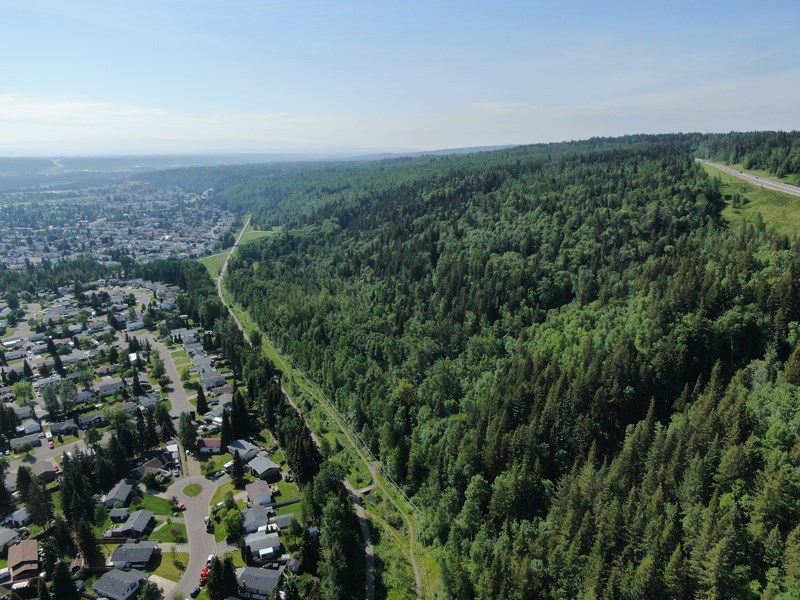 Ginter's Meadow escarpment overview. 