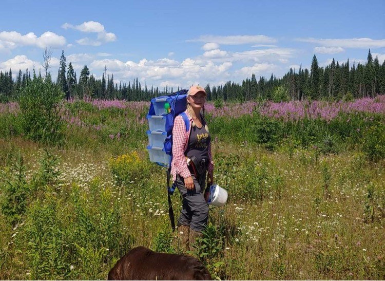 Jennifer Cote with her gear for collecting huckleberries in the region around Prince George. 