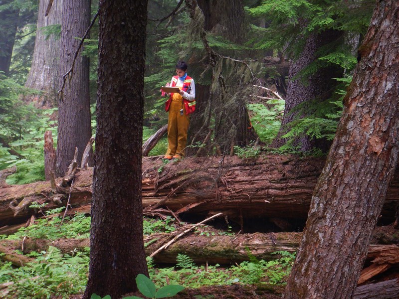Measuring carbon stocks in the rainforest_credit to Conservation North