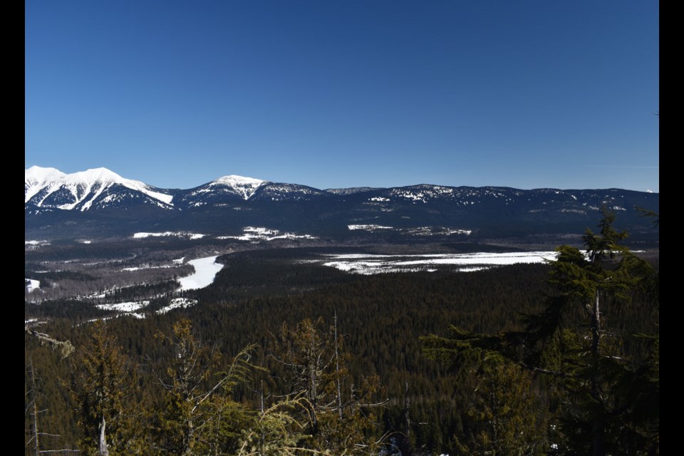 An 83-hectare site previously part of a reserve for Ministry of Transportation Driscoll Creek gravel quarry is now a protected area.