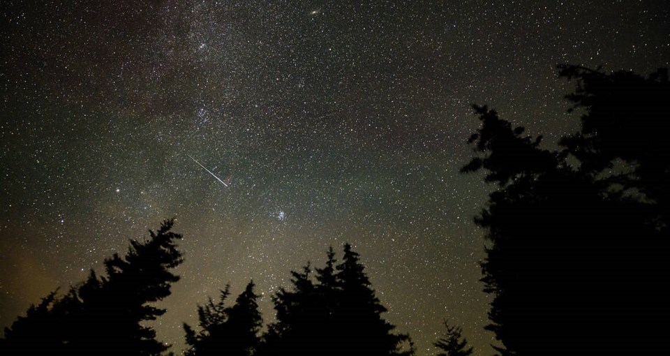 Perseid Meteor Shower