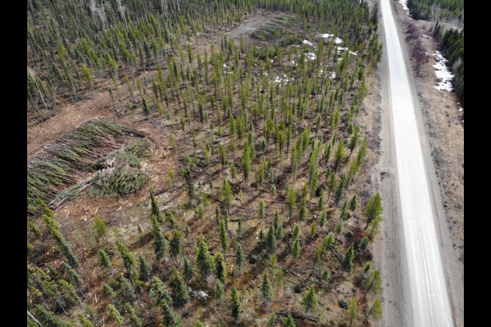 The Mackenzie wildfire mitigation project.