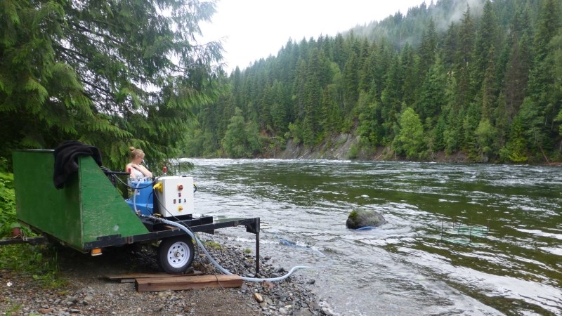unbc mount polley