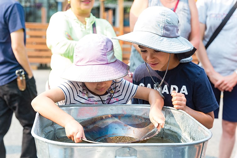 Four-year-old Teagan Scherz, left, tries her hand at goldpanning with seven-year-old Finley Scherz, right, looking on on Saturday morning at the Barkerville booth at the Prince George Farmers Market.