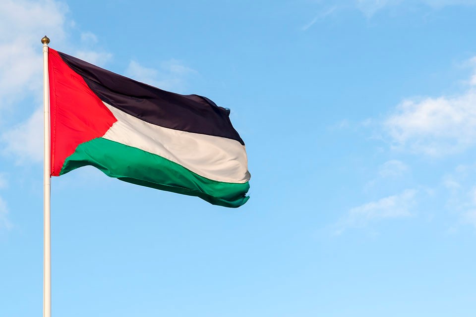 Palestine Flag Getty images