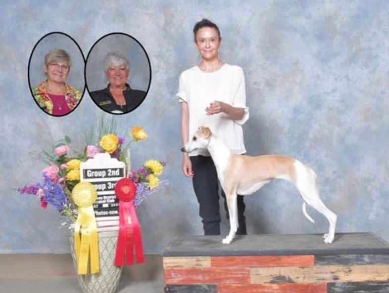 pg-kennel-club-dog-show