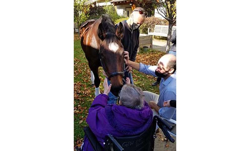 This 17-year-old horse paid a special visit to a long-term care facility in Prince George