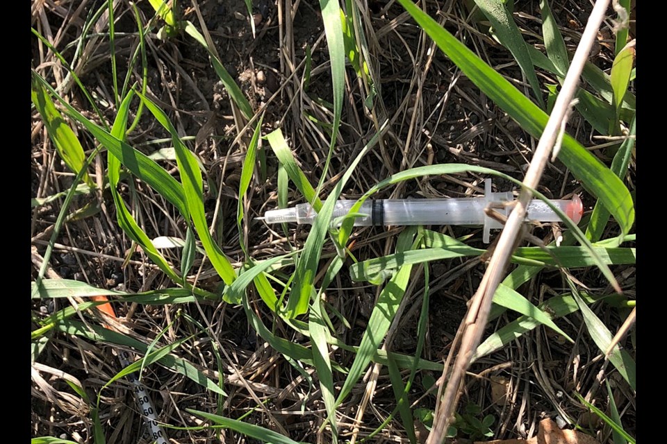 Discarded needles are seen on a grassy embankment near Massey Drive on Friday.