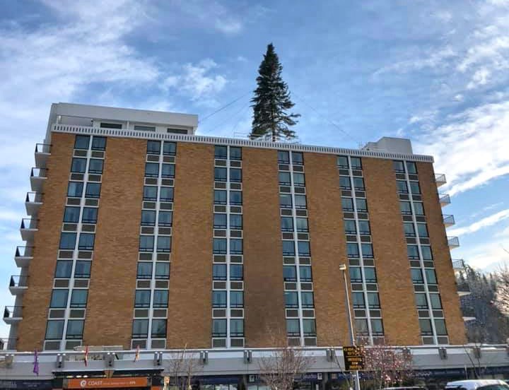 The United Way of Northern BC's Tree of Lights campaign atop Coast Hotel. 