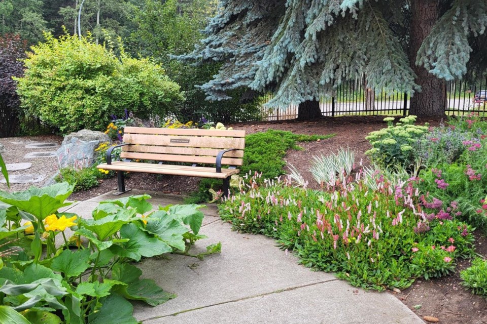 The Prince George Public Library's Knowledge Garden has a few surprises in it. The pumpkin plants seem to be creeping with curiosity towards the other side of that pathway.
