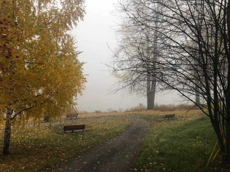 Foggy Prince George morning park