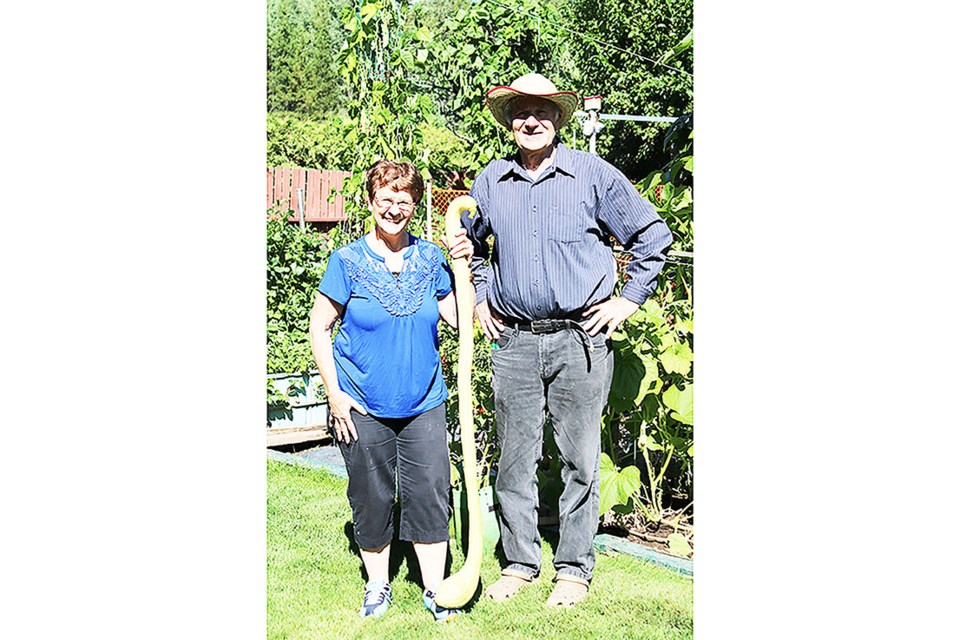 Kathy and Lino Nadalin stand in their backyard where Lino grew his giant zucchini that measures 62 inches in length, almost as tall as his lovely wife, Kathy.