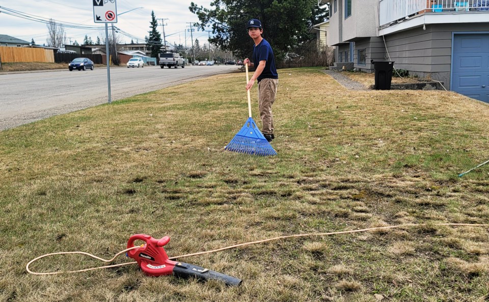 yard-cleanup