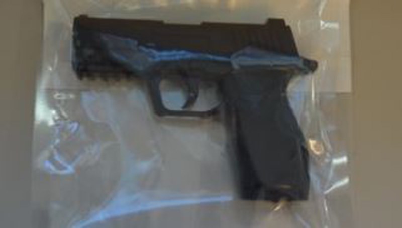 pellet gun pg rcmp