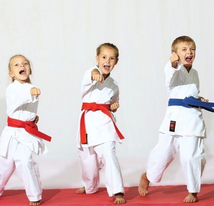 18 KidSport karate kids