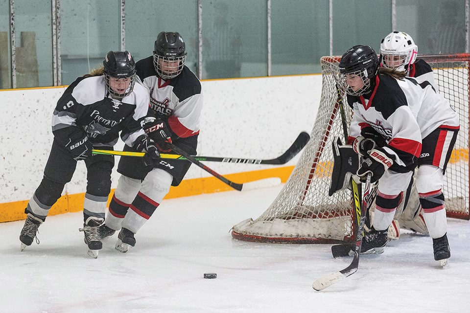 Citizen Photo by James Doyle. The PGMHA U18A Capitals took on the Taylor MHA U18A Predators on Sunday morning at Elksentre.