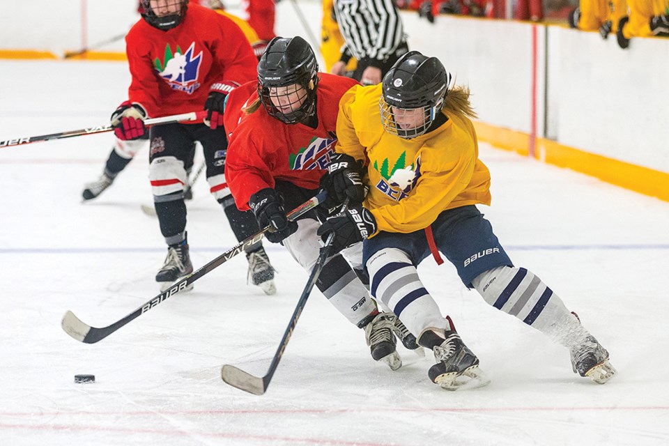 Citizen Photo by James Doyle. Team Boon (red) takes on Team Kerley (yellow) at Elksentre on Saturday morning in the first of six games of the Northern Capitals annual Spring Identification Camp.