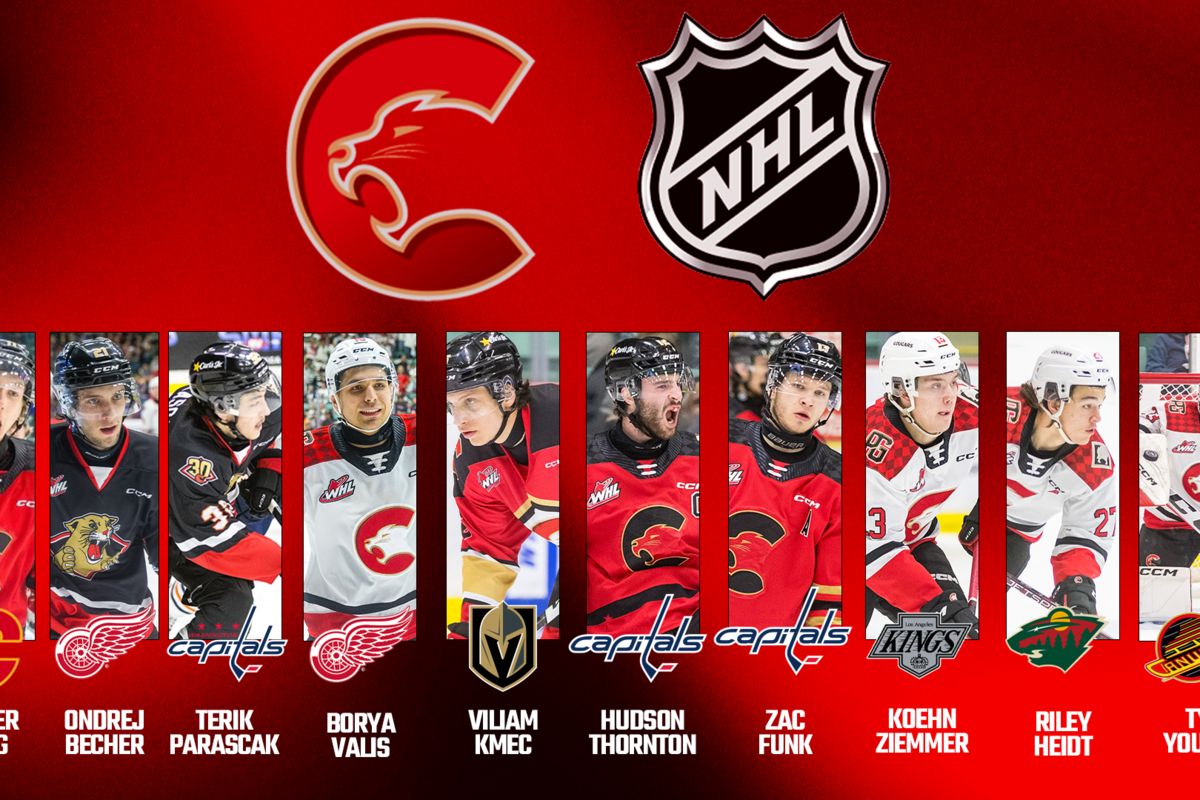 Ten Prince Cougars skating in NHL camps this week Prince
