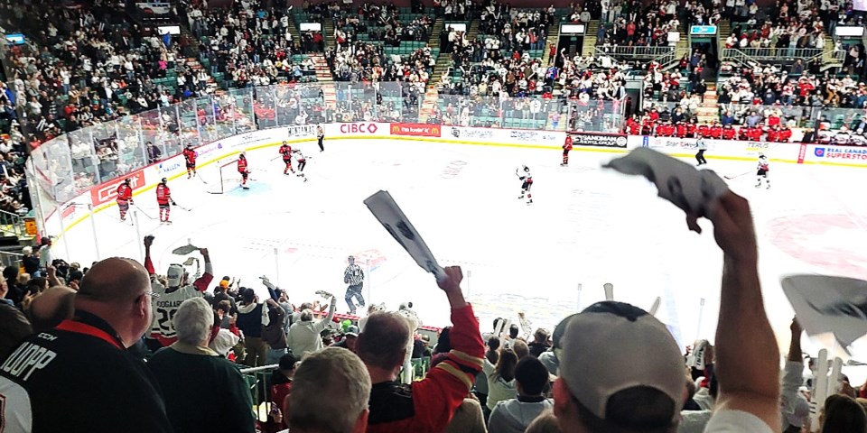 cougars-crowd-april-13-2024