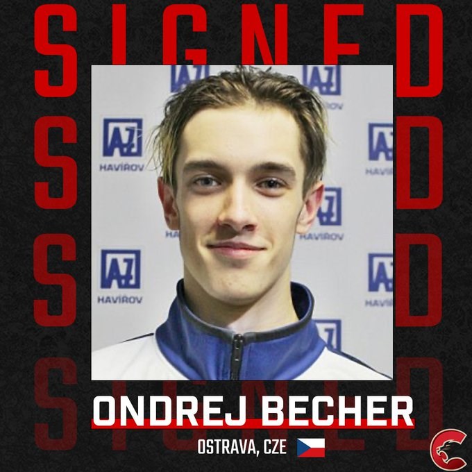 Cougars import Ondrej Becher