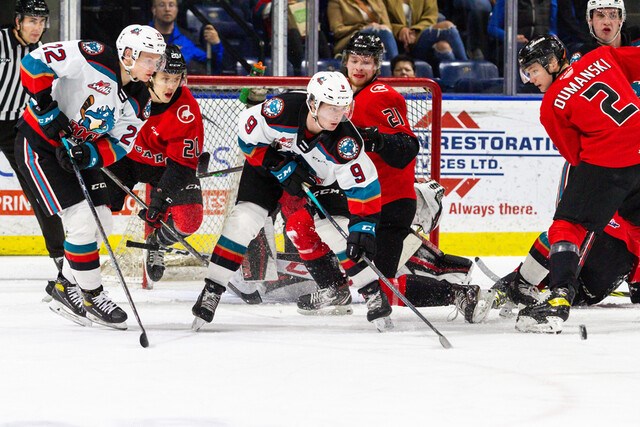 Cougars in Kelowna April 1 2022