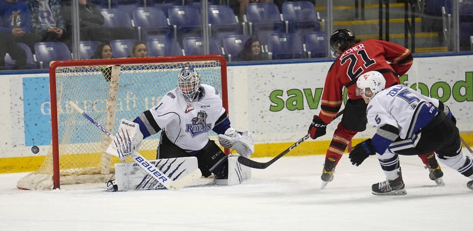 Prince George Cougars Get First Pre-season Win with 5-0 Shutout Over Victoria  Royals - BVM Sports