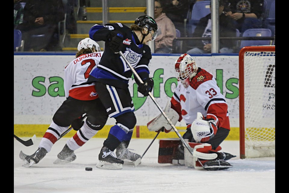 Victoria Royals’ Dawson Pasternak fights to tip the puck on Prince George Cougars’ goaltender Ty Young and Bauer Dumanski during their WHL game Friday at Save on Foods Memorial Centre in Victoria.
