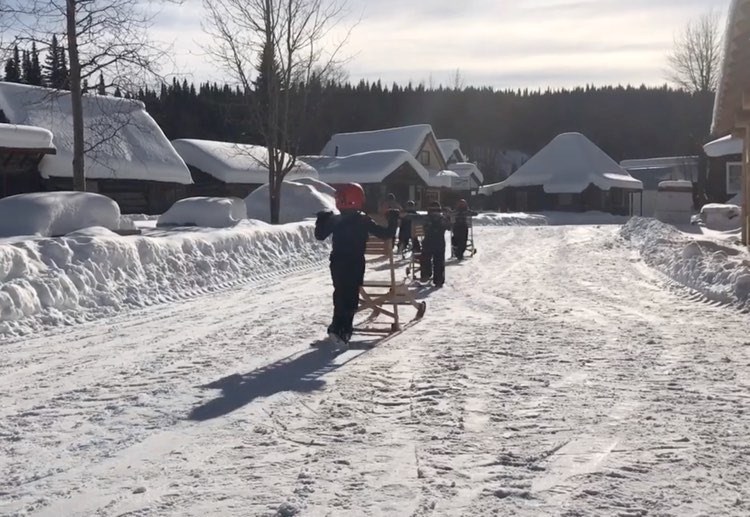 barkerville-kick-sled-race
