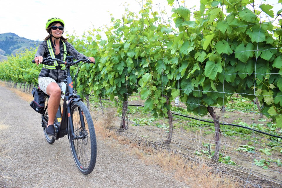 Part of the South Okanagan E-Bike Safari includes cycling through the vineyards of Nk'Mip Winery in Osoyoos