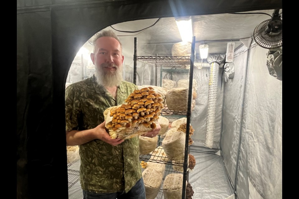 Joshua Halsband holds one of the successful crops grown in his freezer tent on Tuesday, April 29, 2025 in Prince George, BC.