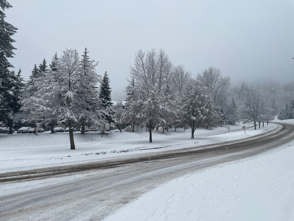 pgc-snow3