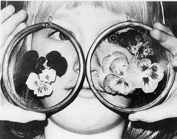 Dec. 5, 1978: Looking at life through colourful spectacles is Monika Hamm, 6, at the Prince George Art Gallery’s Christmas Show. On display with the leaded glass window decorations were pottery, weaving, stuffed toys, paintings, jewelry and other crafts. 