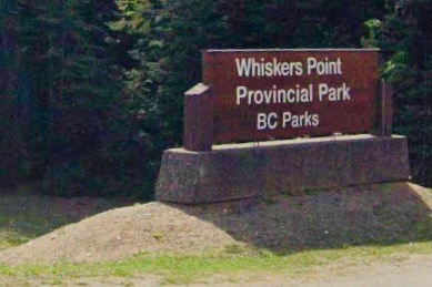 pgc-whiskers-point