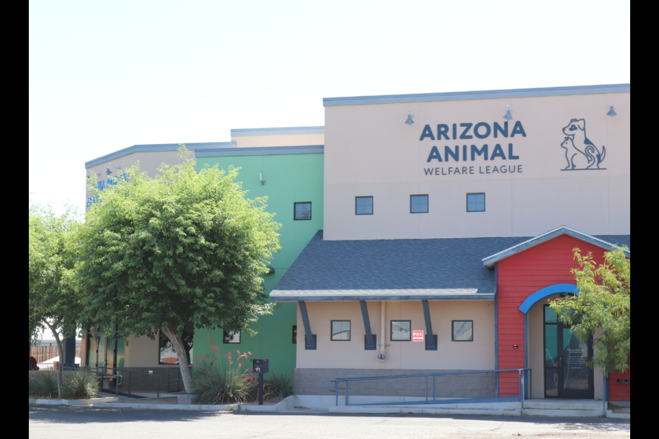 Now through April 7, 2024, families in the Valley can adopt a furry friend at no cost at the Arizona Animal Welfare League.
