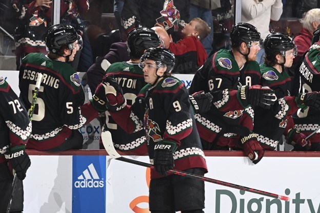 Arizona Coyotes