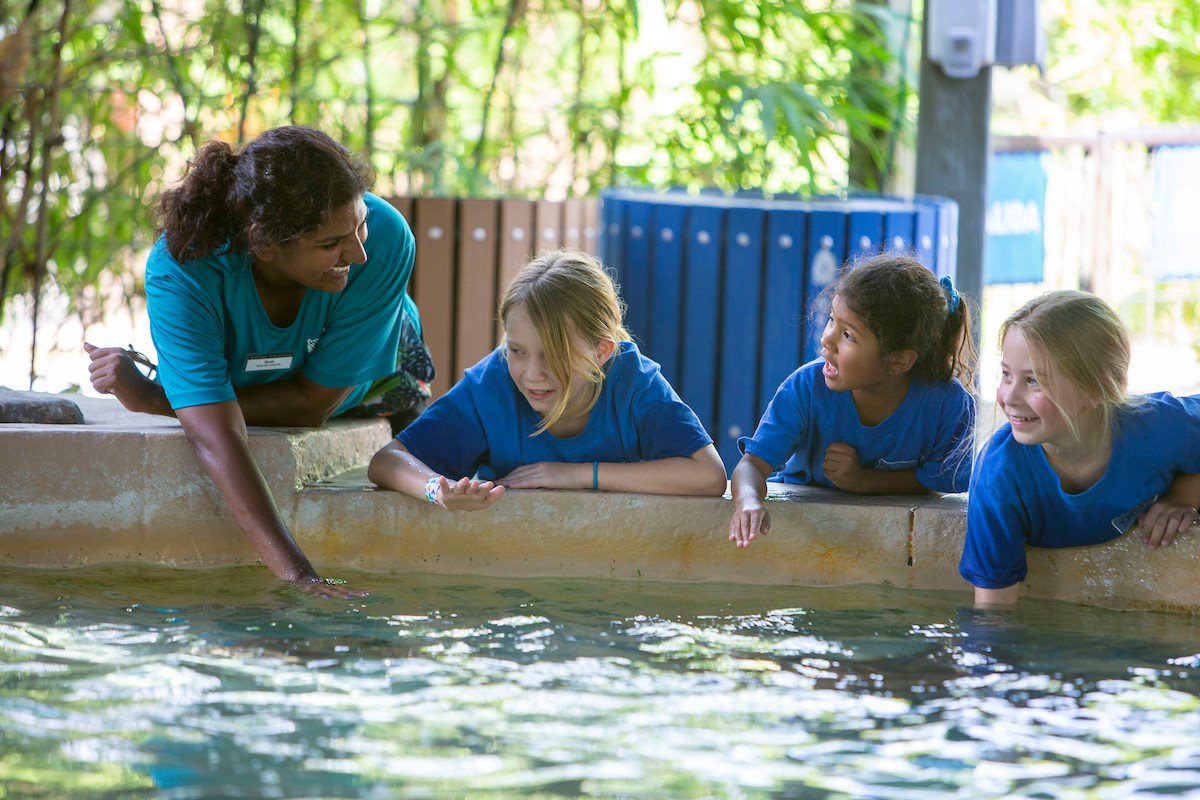 2022 summer camp offerings in Queen Creek, beyond