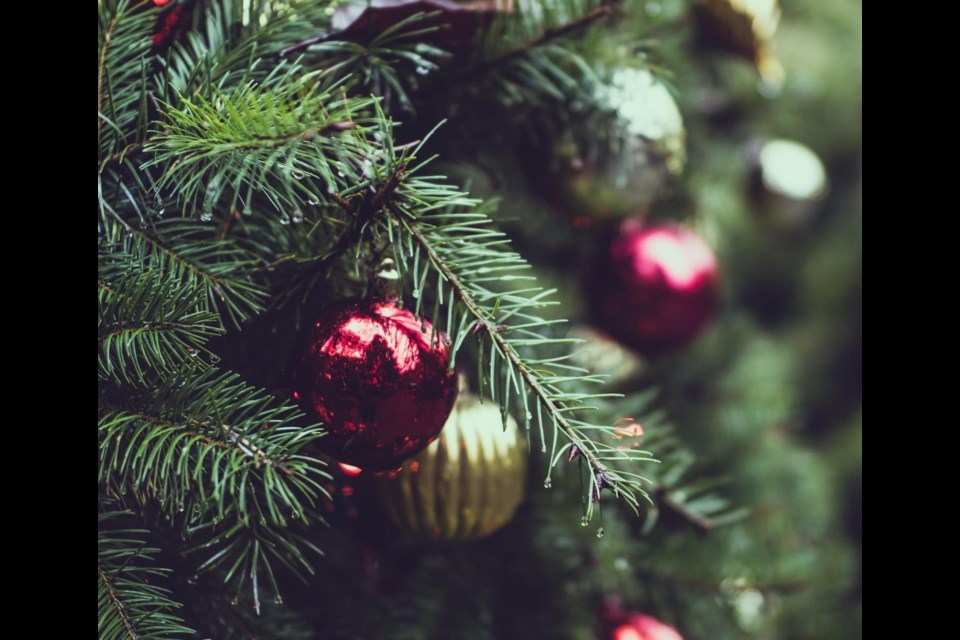The Christmas tree is the center of many holiday family traditions. The Queen Creek Fire and Medical Department would like to share some tree safety tips so that you can enjoy the season with friends and family safely.