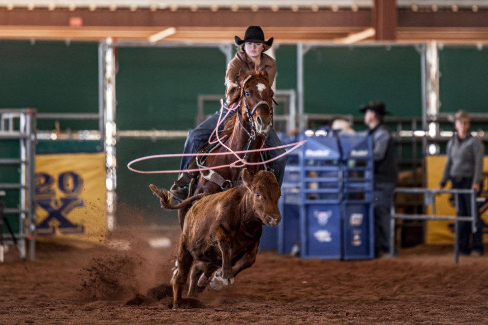 Celebrate women of the West at the Fifth Annual Art of the Cowgirl gathering Jan.18-22, 2023 in Queen Creek, showcasing the very best of woman-made Western artistry, horsemanship and craftsmanship.