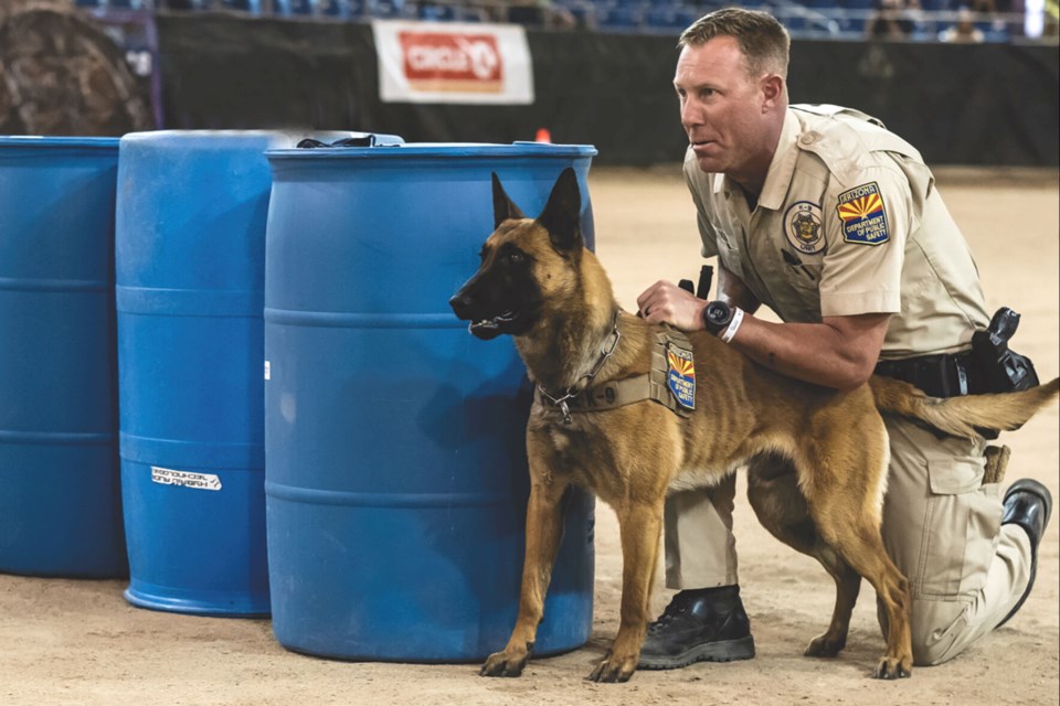 The 20th Desert Dog Police K9 Trials and Public Safety Expo returns to the East Valley this weekend with action-packed competitions, public safety demonstrations, a trunk or treat, food and shopping options.