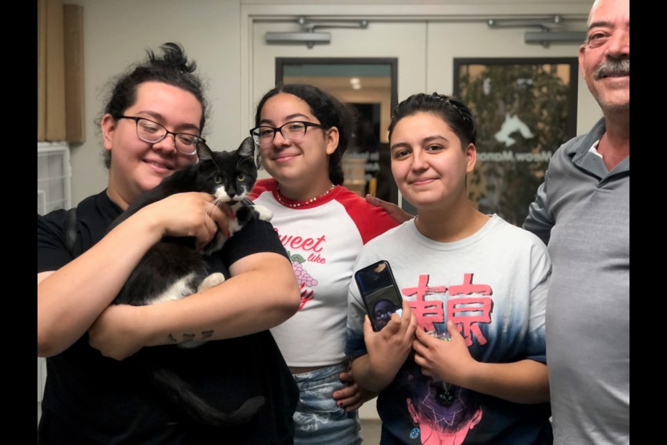 Boy the cat was reunited with his family through his microchip from Friend for Life Animal Rescue in Gilbert. Microchipped dogs are over 50% more likely to be reunited with their families, and microchipped cats are over 40% more likely to be reunited.