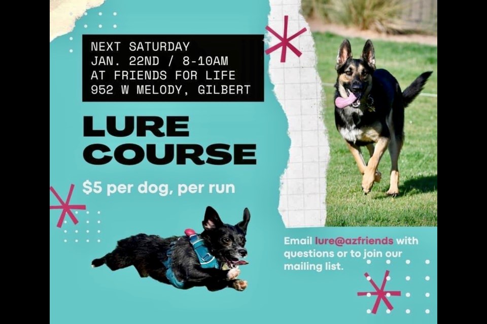 Friends for Life offers dog lure course fun for all on Jan. 22, 2022.